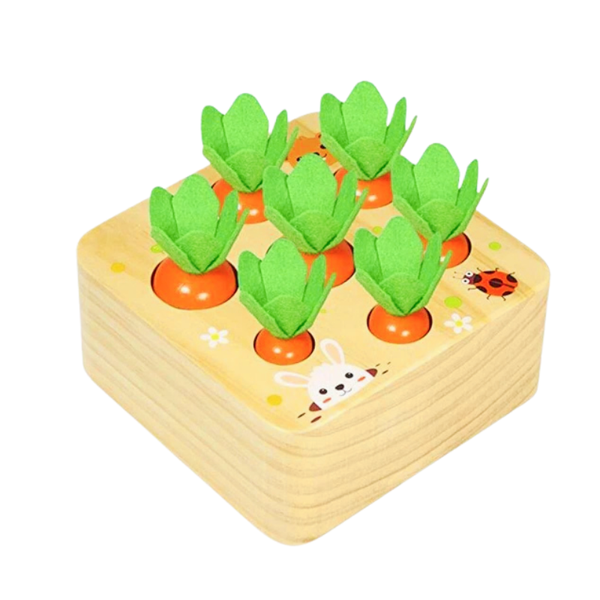 Montessori Carrot Harvest Farm Sorting Toy all carrots in holes.